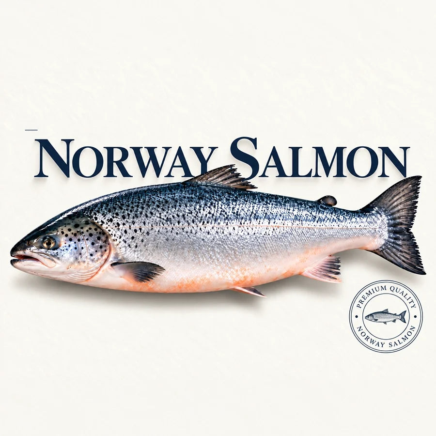Norway Salmon
